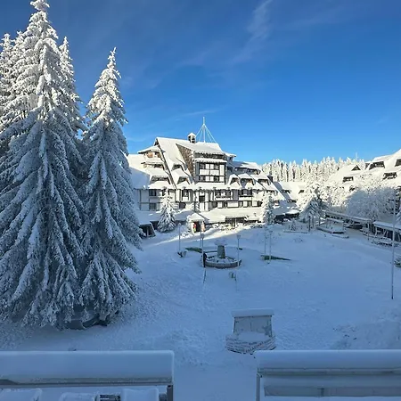 Konaci”rile-men” Apartment *